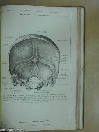 Anatomischer Atlas für Studierende und Ärzte I-VI.