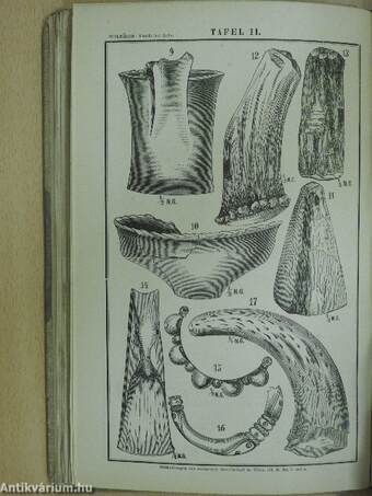 Mittheilungen der anthropologischen Gesellschaft in Wien Jänner-December 1873.