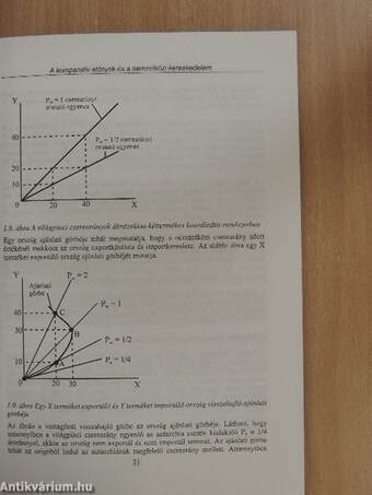 Nemzetközi közgazdaságtan