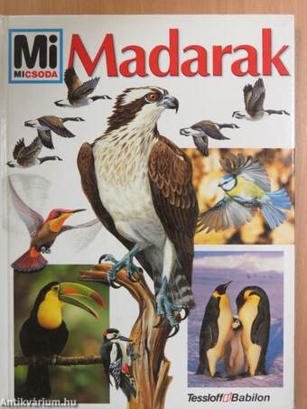 Madarak