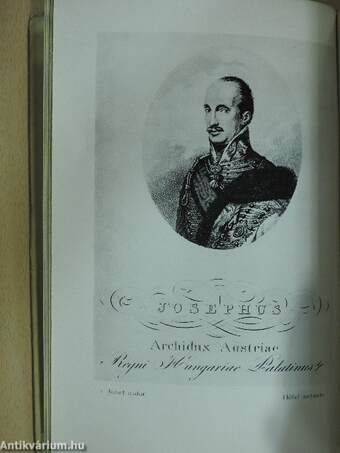 Napoleon Magyarországon