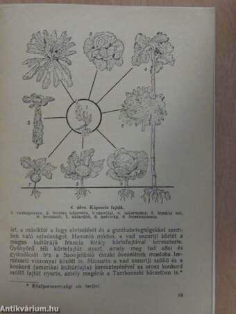 Darwin tanítása az élő természet fejlődéséről