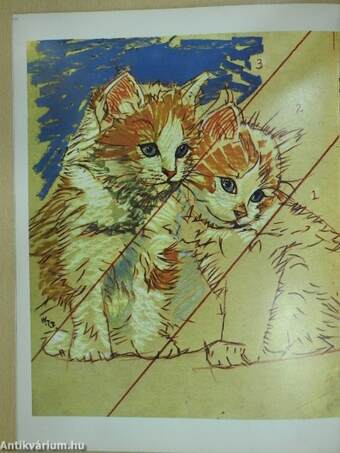 How to draw cats