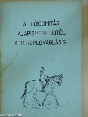 A lóidomítás alapismereteiről a tereplovaglásig