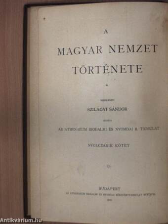 A magyar nemzet története VIII.