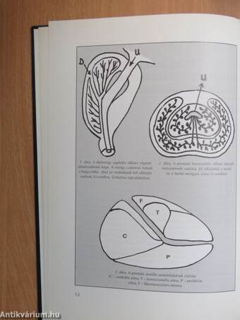 Magyar Urológia 1994. Különszám