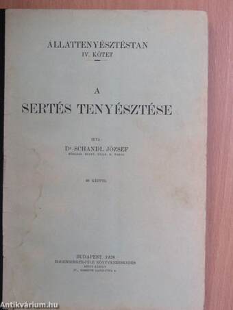 A sertés tenyésztése