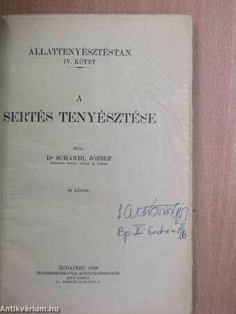 A sertés tenyésztése