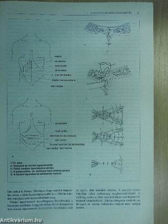 Gastroenterologiai sebészet