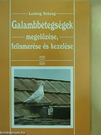 Galambbetegségek megelőzése, felismerése és kezelése