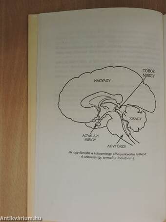 A melatonin csodája