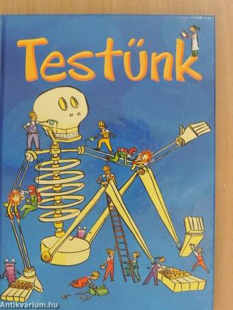 Testünk