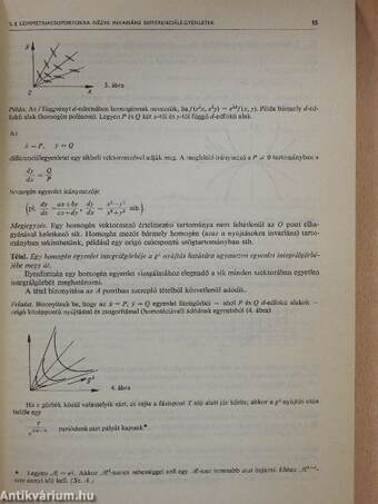 A differenciálegyenletek elméletének geometriai fejezetei