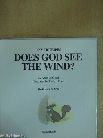 Does God See the Wind?