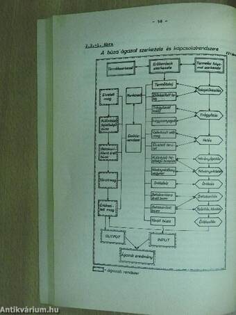 A mezőgazdasági vállalati termelés ökonómiája és szervezése