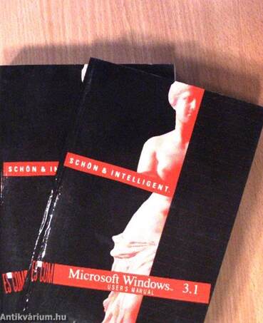 Microsoft Windows User's Guide - 7 db floppy-val/Getting Started with Microsoft Windows