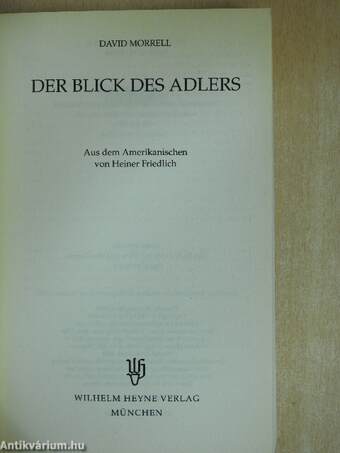 Der Blick des Adlers