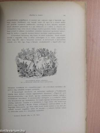 Archaeologiai Értesitő 1889. deczember 15.