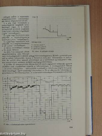 Élelmiszeripari vállalatok üzem- és munkaszervezése