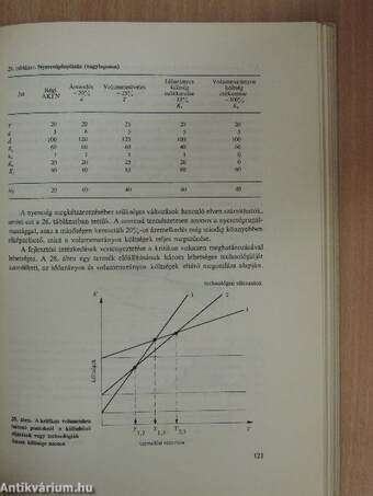 A kertgazdaság vállalati alapjai