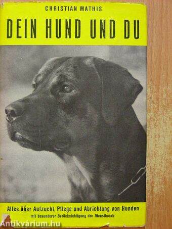 Dein Hund und Du