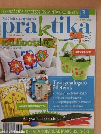 Praktika 2014. március