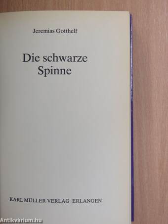 Die schwarze Spinne