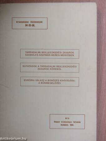 Társadalmi beilleszkedési zavarok Szabolcs-Szatmár-Bereg megyében/Kutatások a társadalmi beilleszkedési zavarok köréből/Európai válasz a bűnözés kihívására: a bűnmegelőzés