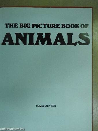 The Big Picture Book of Animals