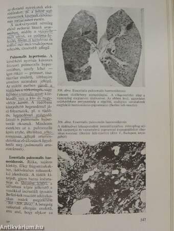 Pathologia 1-2.