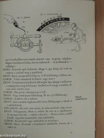 Vidám tanfolyam a növények táplálásáról