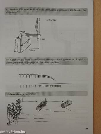 Az ember teste és egészsége