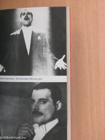 Freddie Mercury élete