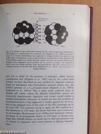 Immobilized pH Gradients: Theory and Methodology