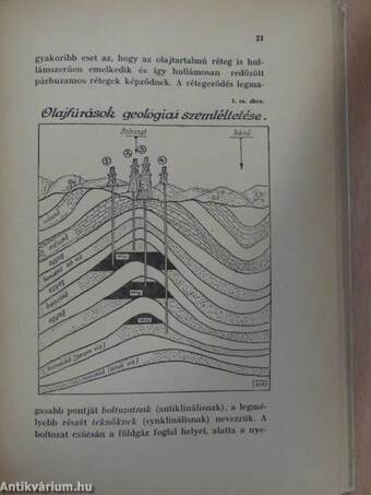 Mit tudsz az olajról?