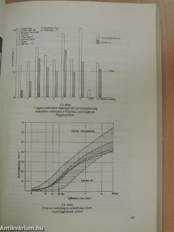 Útmutató az MI-04.19-81 beton és vasbeton készítése c. műszaki irányelvhez