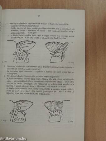 A szarvasmarhatenyésztési körzeti felügyelők kézikönyve