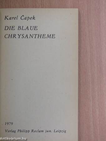 Die blaue Chrysantheme