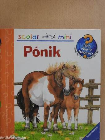 Pónik