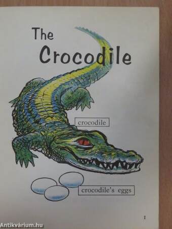 The crocodile