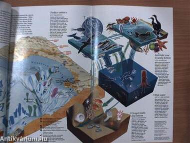 National Geographic February 1990