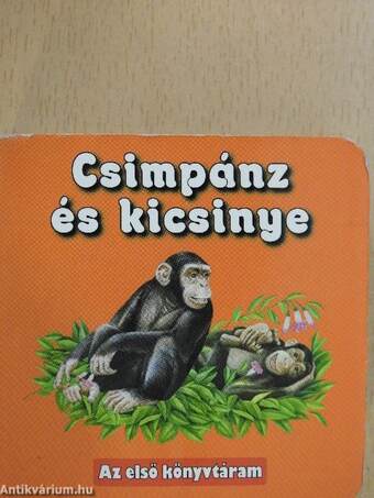 Csimpánz és kicsinye (minikönyv)