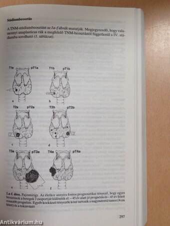 A klinikai onkológia kézikönyve