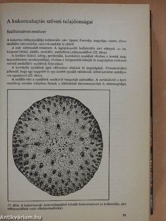 A kukoricatermesztés kézikönyve