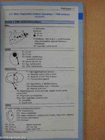 Tabularium oncologiae