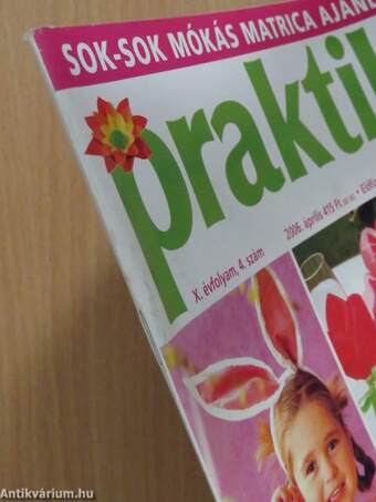 Praktika 2006. április