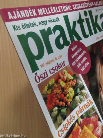 Praktika 2004. október