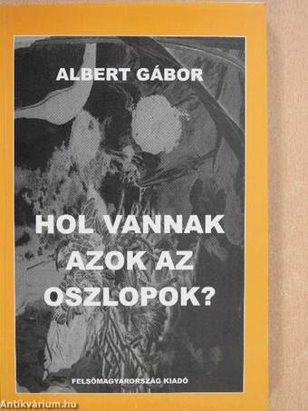 Hol vannak azok az oszlopok? (dedikált példány)