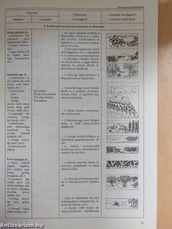 Kis mester a földrajzhoz