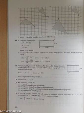 Matematikai feladatsorozatok általános iskolásoknak 8. osztály